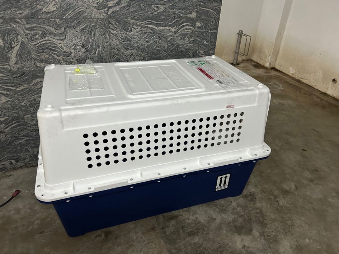 PP90 Dog Crate, Pet Supplies, Homes & Other Pet Accessories on Carousell