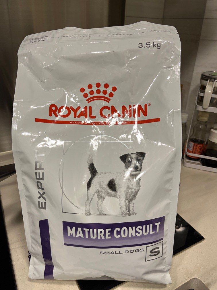 Mature consult small dog 2025