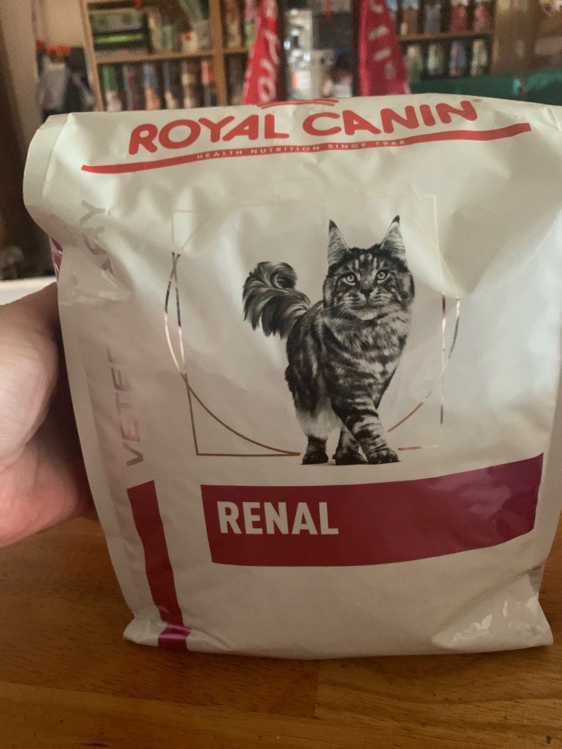 Royal Canin renal Dry Cat food, Pet Supplies, Pet Food on Carousell