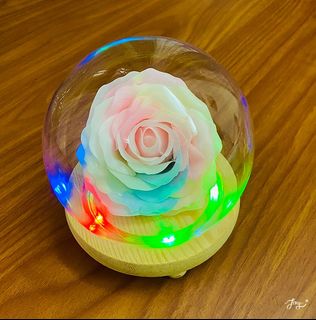 (Category: ) located in . Submitted by thejoyfulgift (Listing ID 1213900373, Image 1). Description: .
