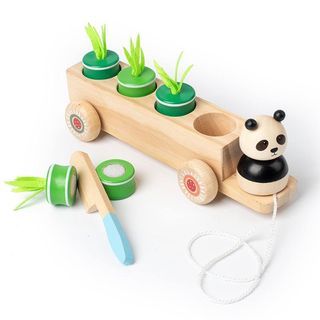 Wooden Push toy + cutting bamboo kitchen toys