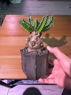 （分類：）位於 。 由 happy_hector 提交（商品編號 1214069089，圖片 1）。簡介： 。