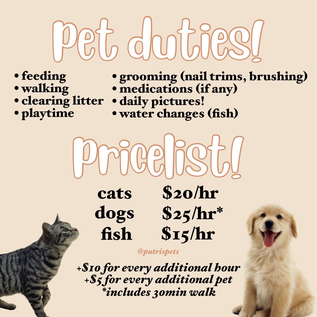 Pet sitting sales cats only