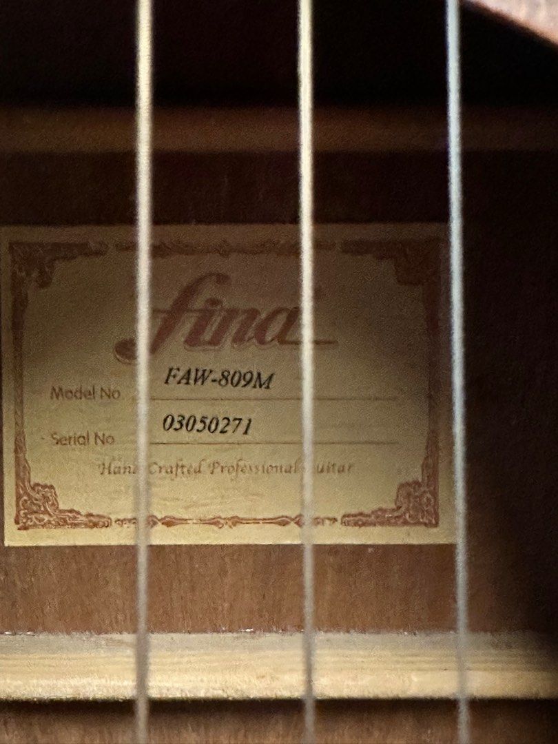 安い直送FINA FAW-800 (管理イサ) ギター