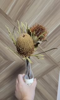 (Category: ) located in . Submitted by watermeloncoffee (Listing ID 1213979233, Image 1). Description: .