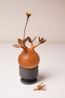 （分類：）位於 。 由 dfg1415 提交（商品編號 1214041482，圖片 1）。簡介： 。