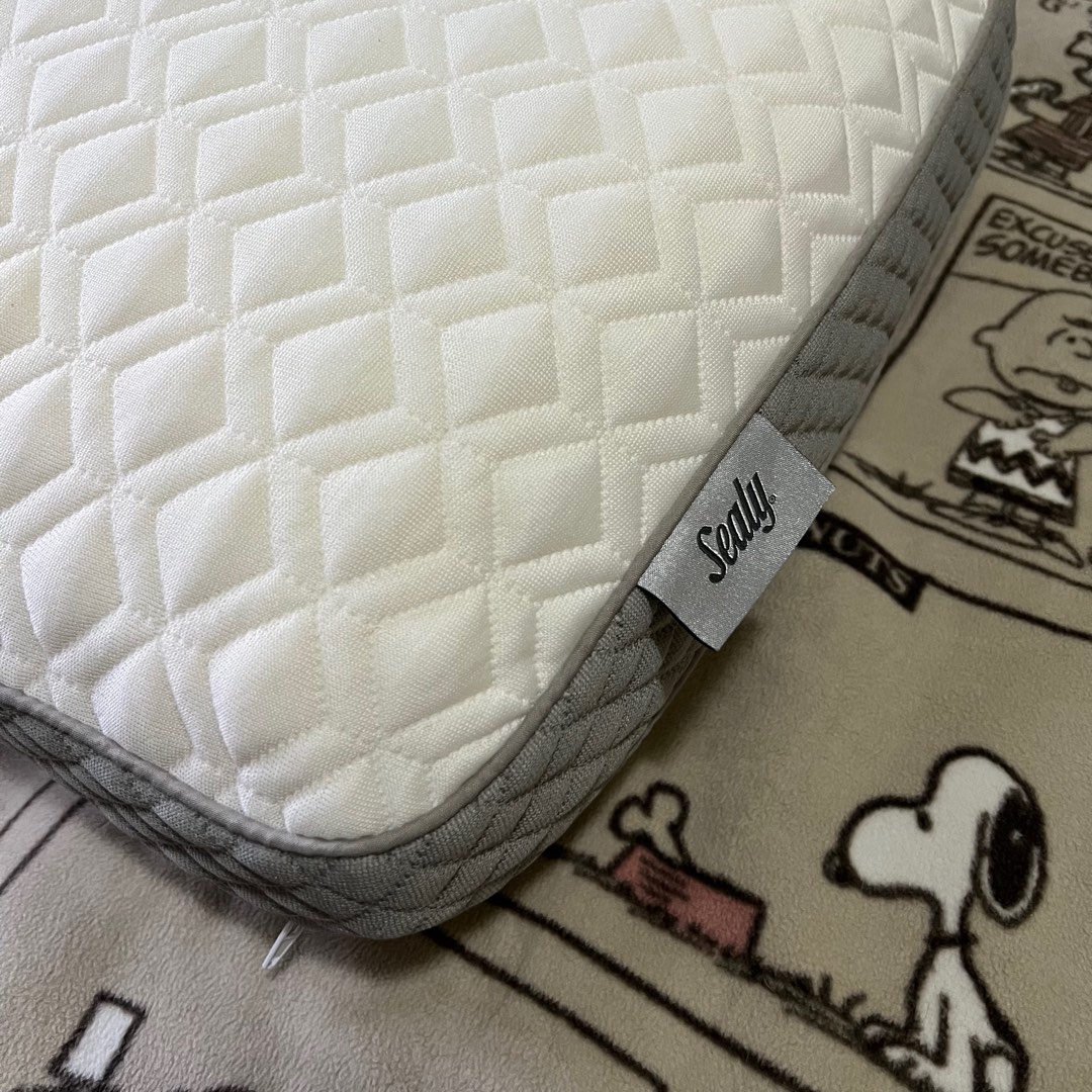 Sealy 枕頭 Molded Memory Foam Pillow, 16 inches x 24 inches x 5. 75