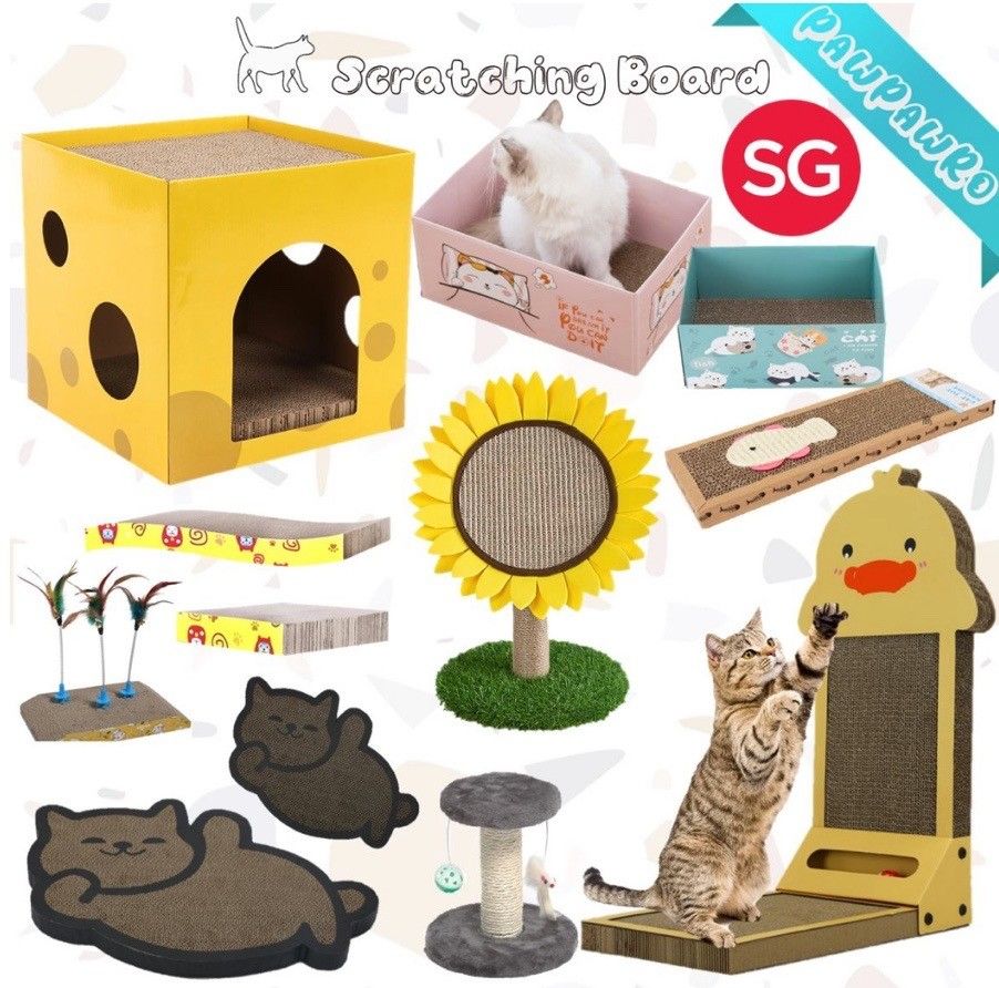 flat cat scratching board