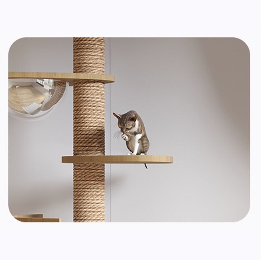 Single on sale cat condo
