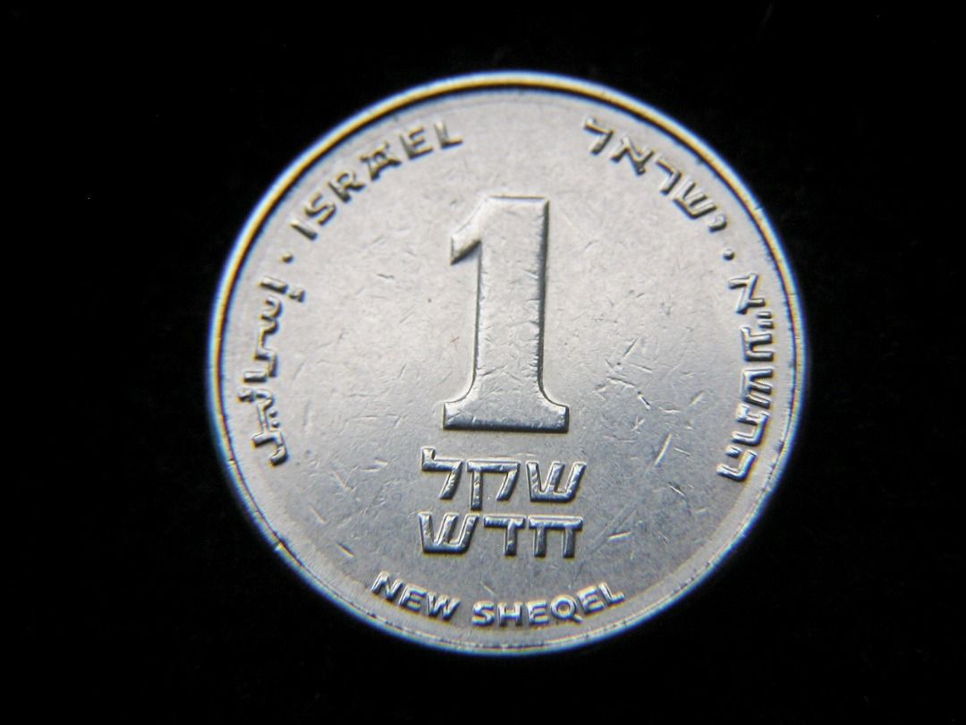 ac-以色列幣-以色列(Israel)百合花1新石赫(New Sheqel)鎳幣, 興趣及遊戲, 收藏品及紀念品, 錢幣- Carousell