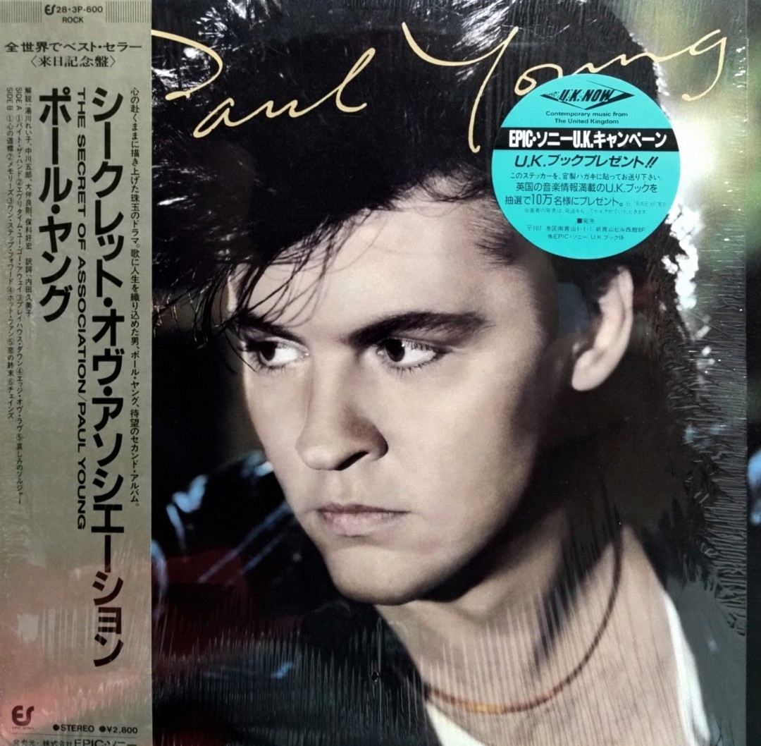 arthlp PAUL YOUNG - The Secret Of The Association Japan Press Vinyl LP  Record - Everytime You Go Away, Everything Must Change, I'm Gonna Tear Your 