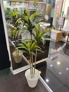 Artificial plants
