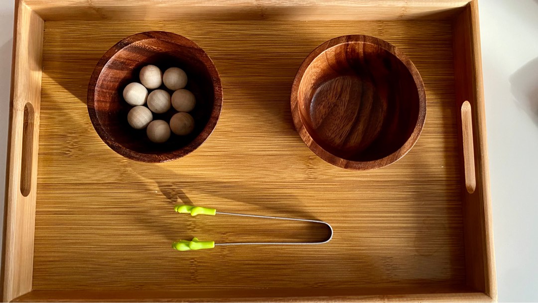 Ball Transfer using Tongs Activity Montessori, Hobbies & Toys, Toys