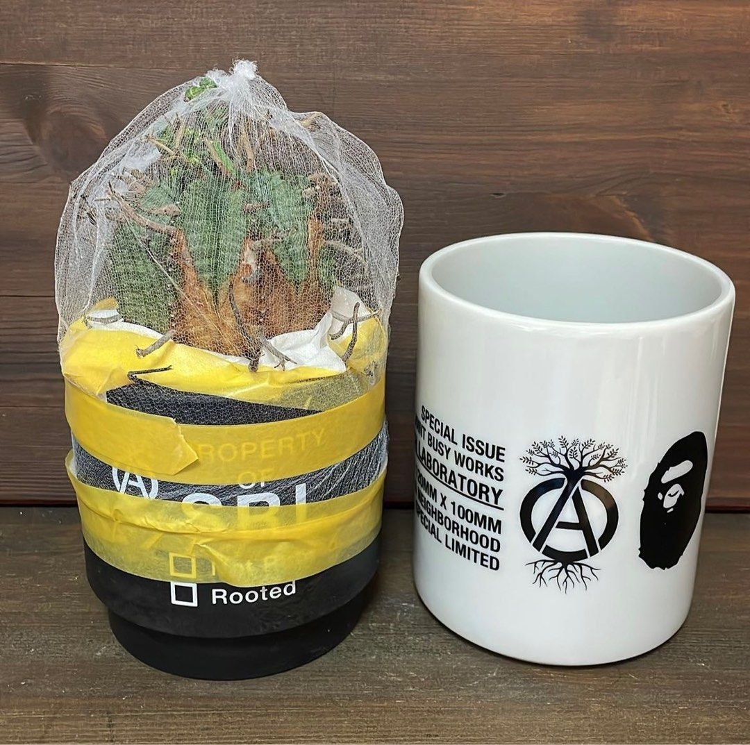 Neighborhood SRL BAPE NBHD PLANT POT 鉢 Neighborhood SRL BAPE NBHD PLANT POT 鉢