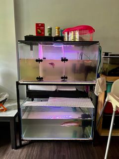 (Category: ) located in . Submitted by kelvintbk (Listing ID 1214199468, Image 1). Description: .