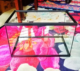 (Category: ) located in . Submitted by Acriey (Listing ID 1214201208, Image 1). Description: .