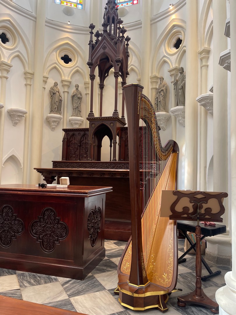Harp performance for wedding & events62859979849857112