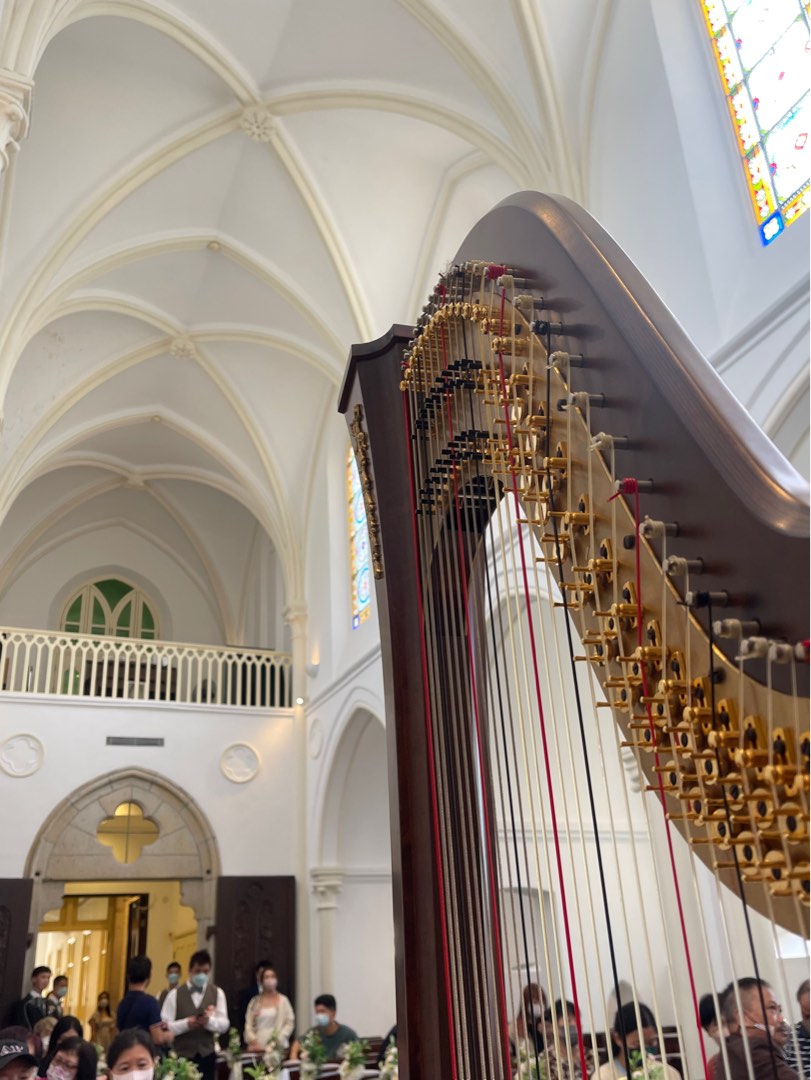 Harp performance for wedding & events62859979849857113