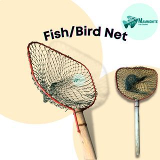 Large Nylon Net with Wooden Handle for Bird and Fish 72cm