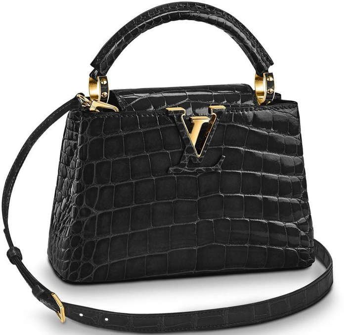 Louis Vuitton Mini Capucines handbag, Luxury, Bags & Wallets on Carousell
