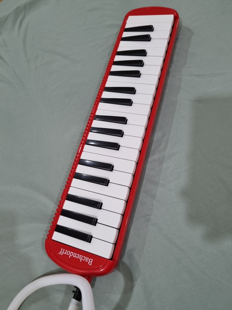 melodica on Carousell