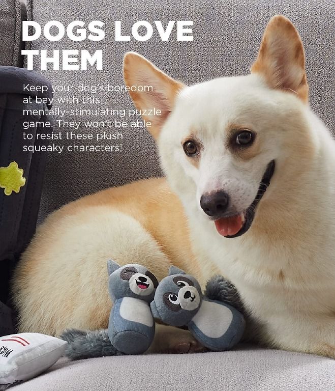 [sg stock] Outward Hound Hide A Raccoon Plush Dog Toy Puzzle,Grey,XL (Category: Homes & Other Pet Accessories) located in Singapore. Submitted by sg.lobangking (Listing ID 1214264756, Image 3). Description: Welcome to sg.lobangking ➕ Only brand new items ➕ All products are authentic ➕ Super fast shipment Like what you see? Feel free to check out my other listings or DM if u have any product enquiry or products not listed. ⭕ Commited to give the b