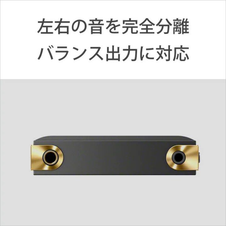 Sony 數碼高清音樂播放器日版WALKMAN 64GB NW-ZX707, 音響器材, 音樂