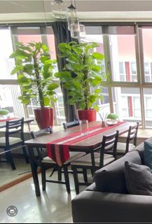 (Category: ) located in . Submitted by whitefly (Listing ID 1208522886, Image 1). Description: .