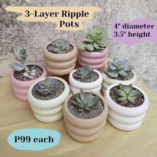 3-Layer Ripple Donut Clay Terracotta Succulent Small Plant Pot (White, Nude, Cream, Pink)