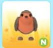 (Category: ) located in . Submitted by nutandnur (Listing ID 1218025264, Image 1). Description: .