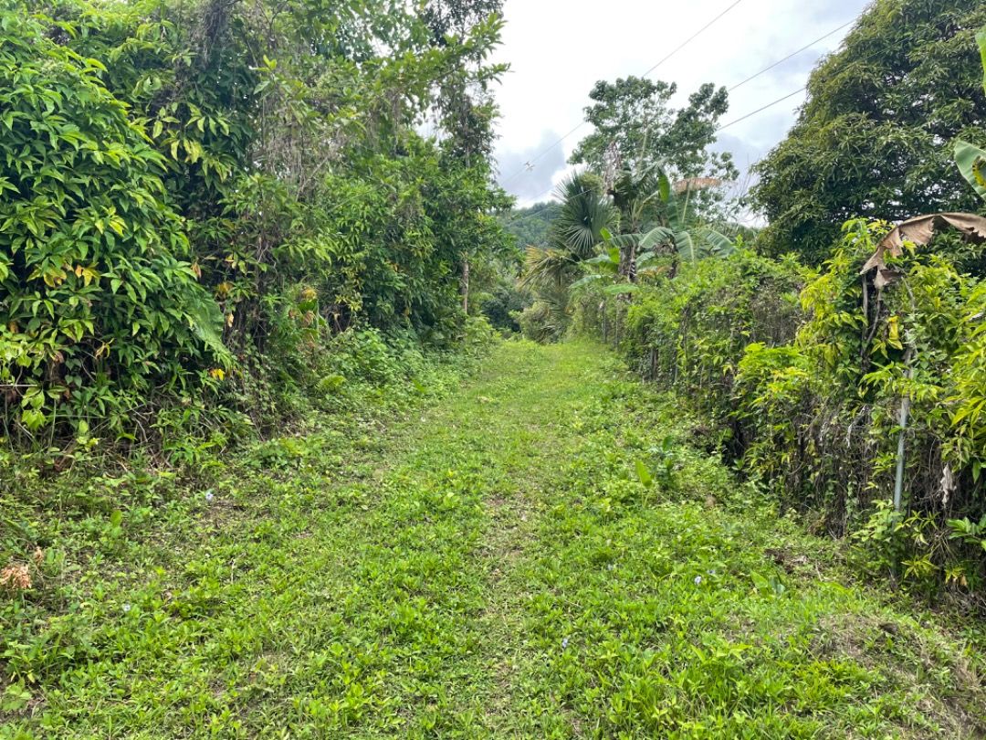 Agricultural lot for sale, Property, For Sale, Lot on Carousell