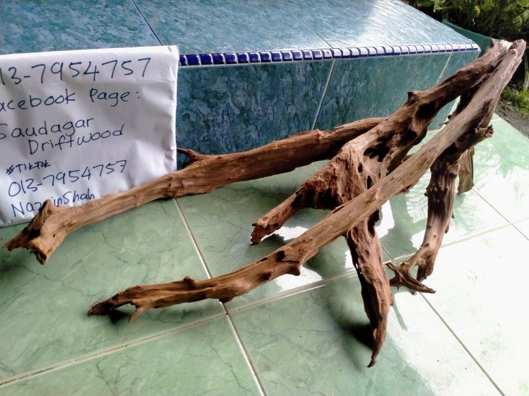 AQUARIUM DRIFTWOOD discus fish combination 4 kayu pattern akar BOLEH
