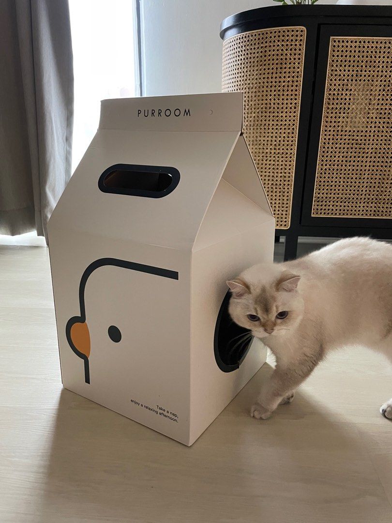 Cat House Box, Pet Supplies, Homes & Other Pet Accessories on Carousell
