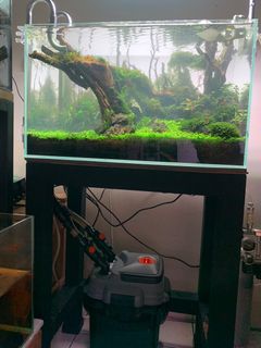 (Category: ) located in . Submitted by ezatsam (Listing ID 1218140504, Image 1). Description: .