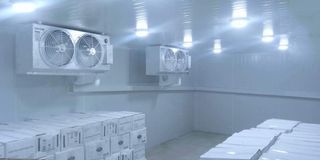 COLDROOM STORAGE (USED FOR FROZEN PRODUCTS)