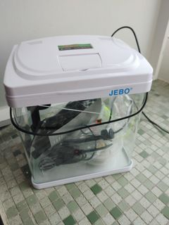 （分類：）位於 。 由 samacc 提交（商品編號 1218046153，圖片 1）。簡介： 。