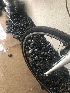 Garden Pebbles