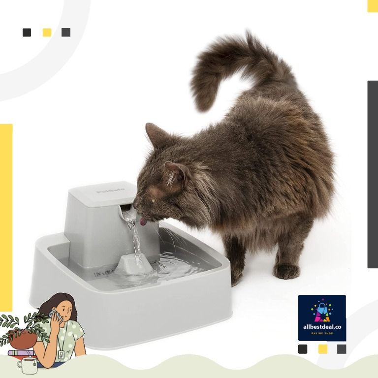 Drinkwell pet fountain deals dishwasher safe