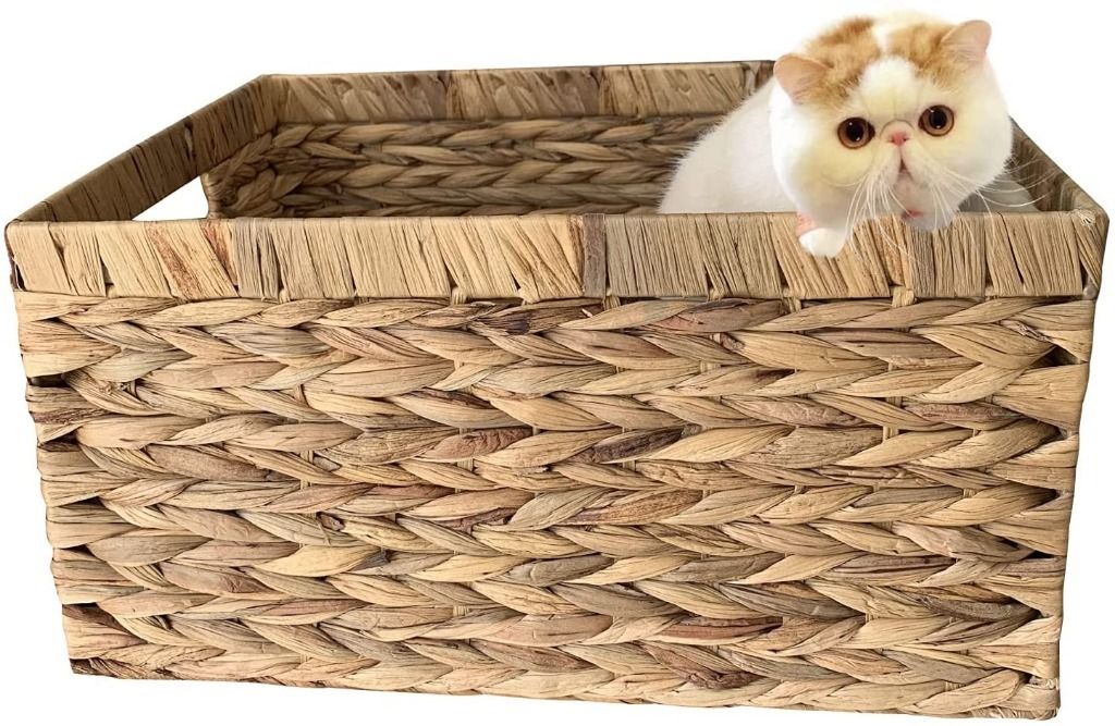 Rectangular Cane Cat Basket Online Shop With Hand Crafted Wicker