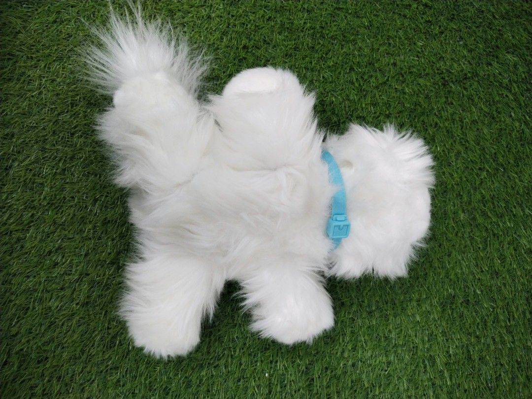 Little live pets cuddles store