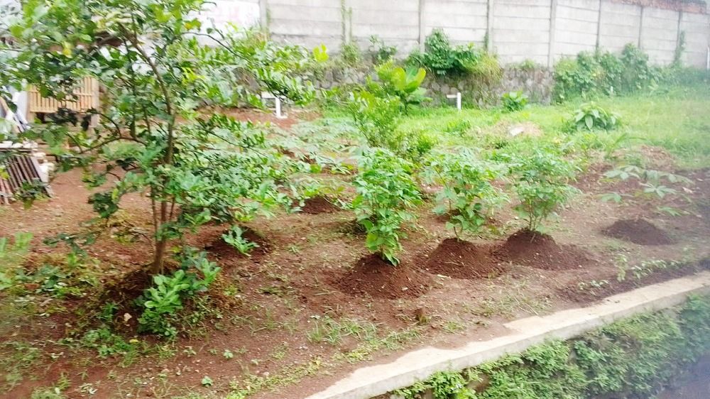 tanah_kavling_dijual_di_serpon_1677634365_aa07032e_progressive