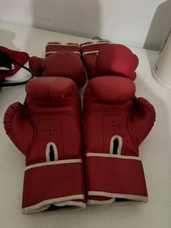 Boxing Gloves with FREE Punching Bag