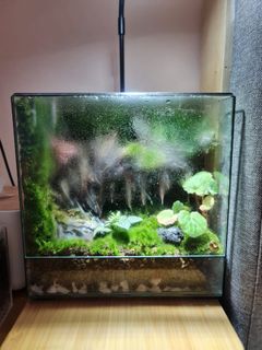 (Category: ) located in . Submitted by aikhuat1951 (Listing ID 1219763009, Image 1). Description: .