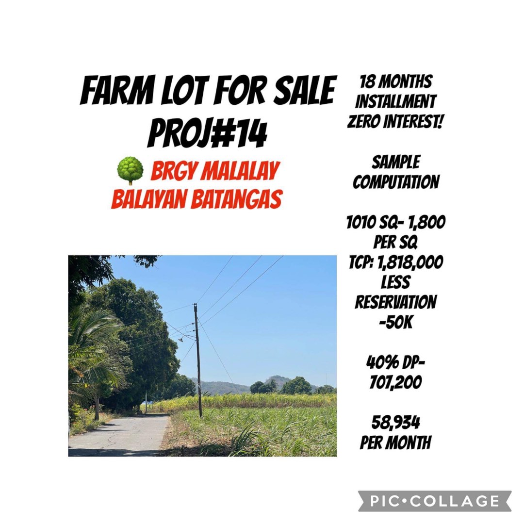 FARM LOT FOR SALE, Property, For Sale, Lot on Carousell