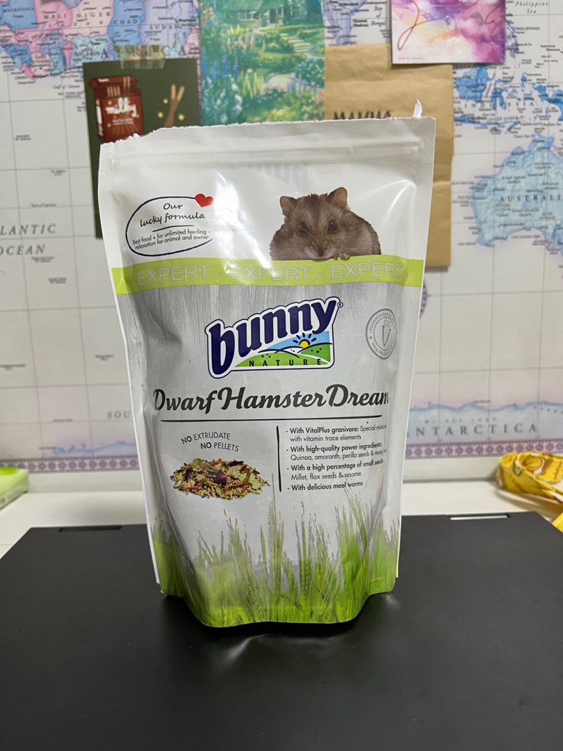Bunny nature dwarf hamster dream top