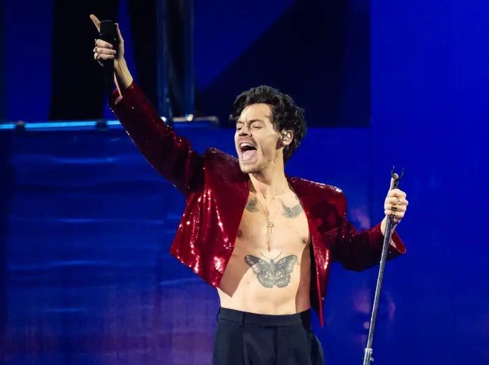 Harry Styles Ticket, Tickets & Vouchers, Event Tickets on Carousell