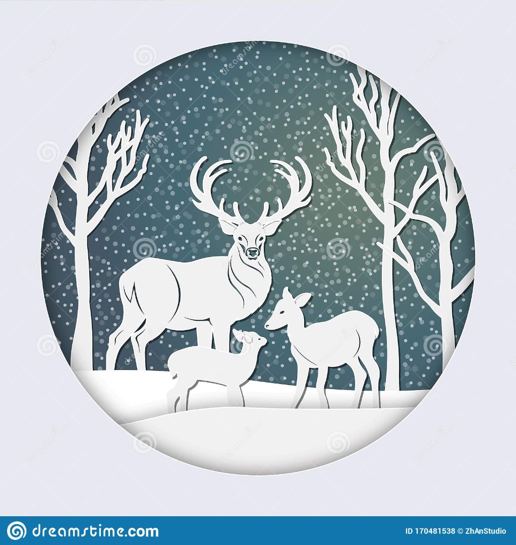 Laser Cut Paper Card, Hobbies & Toys, Stationery & Craft, Art & Prints