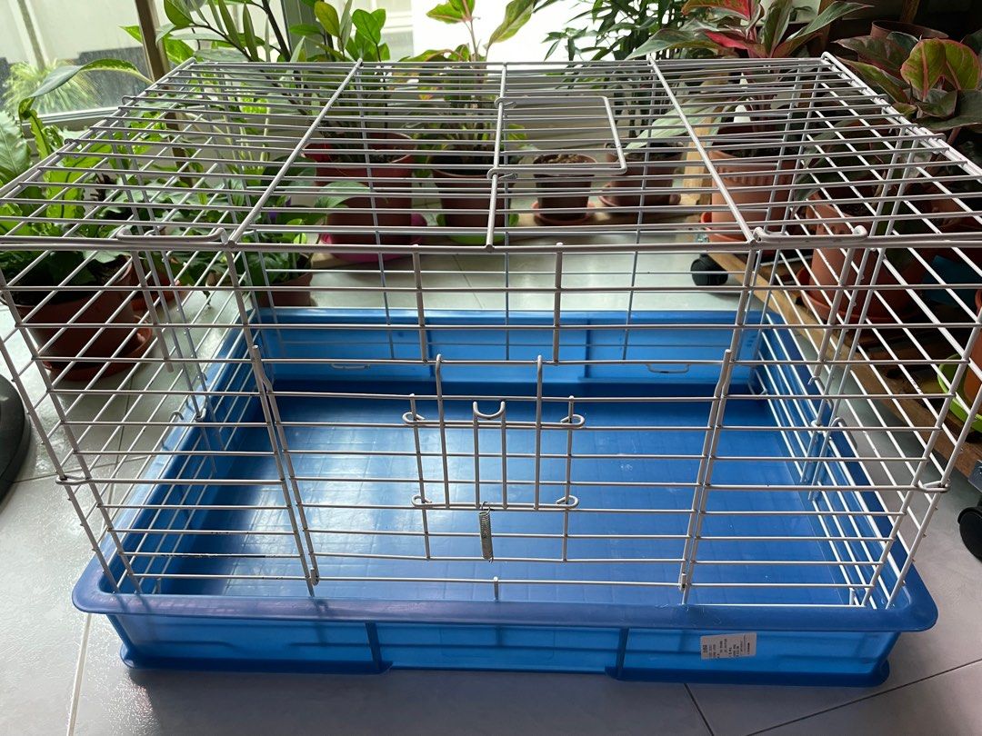 Cartimar pet shop rabbit online