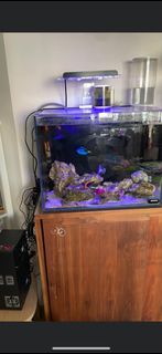 （分類：）位於 。 由 k123h 提交（商品編號 1219932798，圖片 1）。簡介： 。