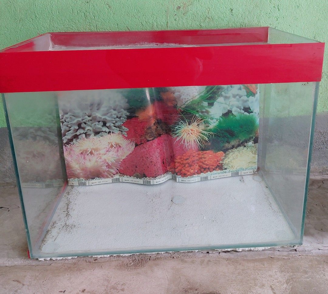 Aquarium Tank On Carousell aquarium-tank-on-carousell